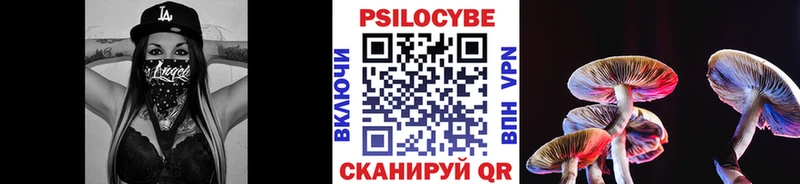 Псилоцибиновые грибы мухоморы  цена наркотик  Черкесск 