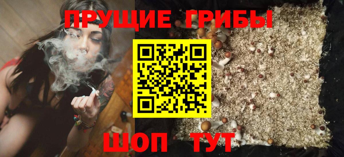 Галлюциногенные грибы Magic Shrooms Черкесск