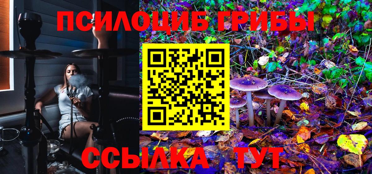 Черкесск  Псилоцибиновые грибы GOLDEN TEACHER  Псилоцибиновые грибы Magic Shrooms  Вход с VPN 